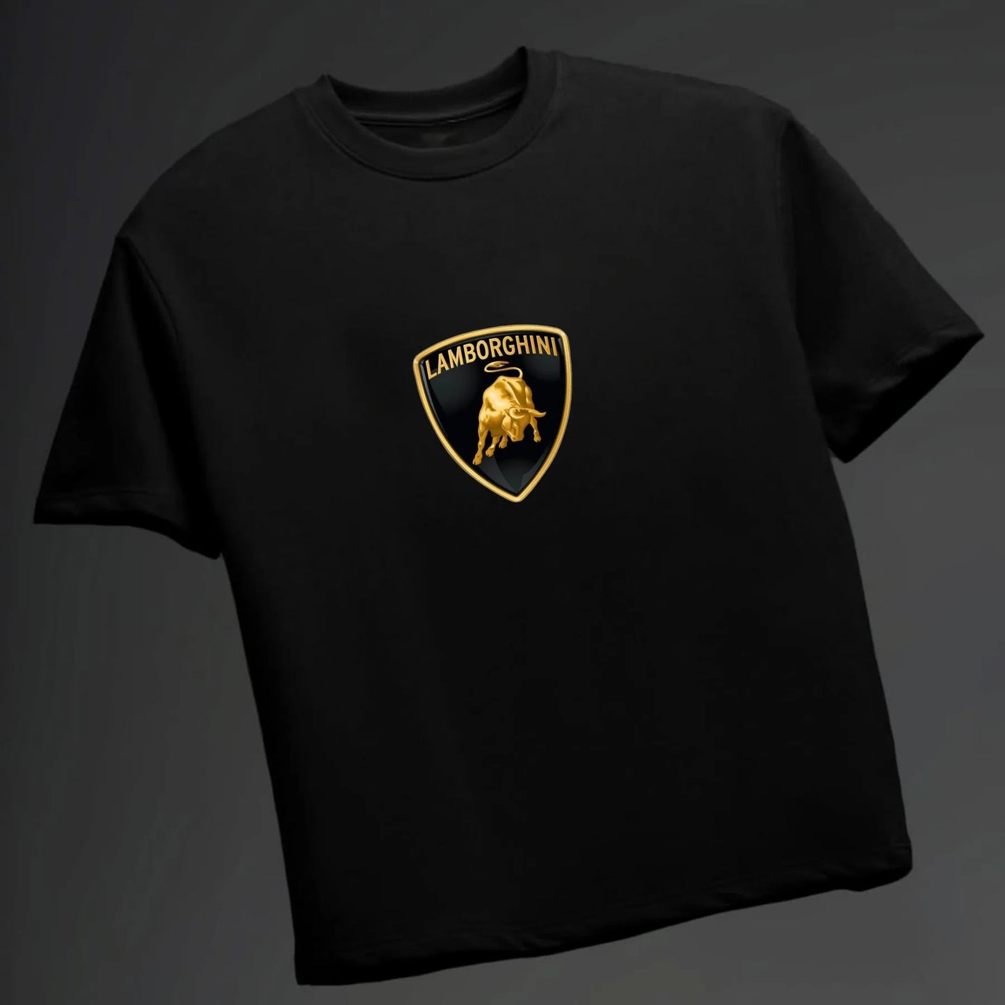 Men's Lamborghini printed Oversized Tshirt